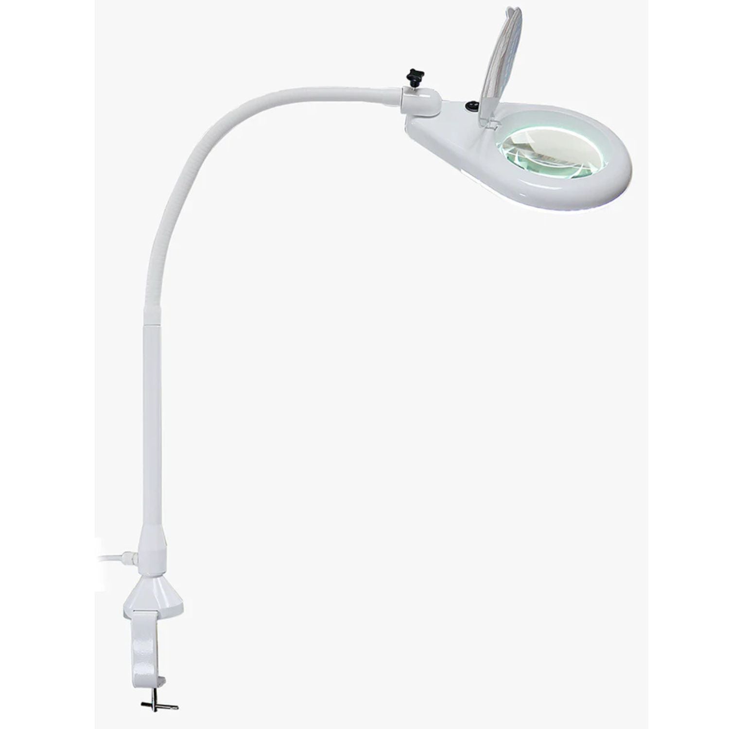 Desk Clamp Magnifying Light