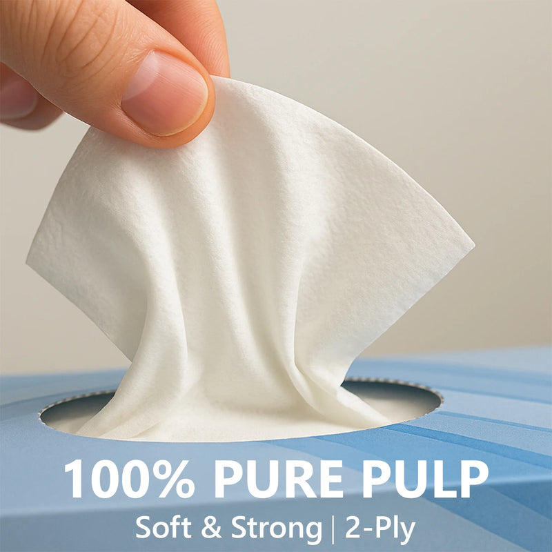 Facial Tissues 2 Ply 100 Sheets (Pack Of 36)