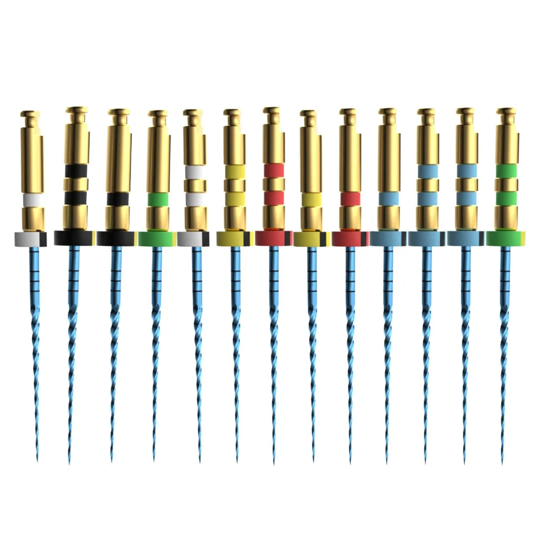 Eighteeth E-Flex Blue REC and S Root Canal Files