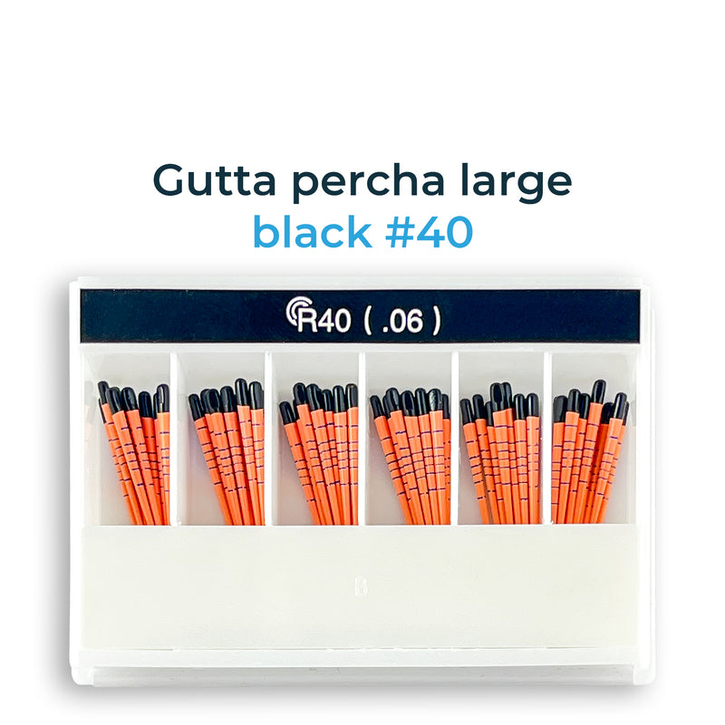 GAPA-Pro R Gutta Percha Points R40(.06) (60 Points)