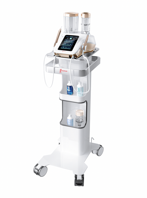 DTE Woodpecker PT-B Air Polisher and Ultrasonic Dental Scaler (8192384958719)