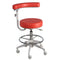 Murray Gemini Assistants Stool (4440272142423)