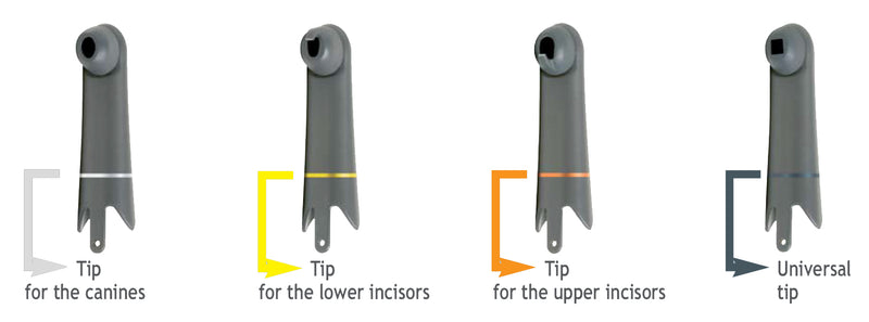 Acteon Intraoral Tips (4440348065879)