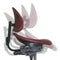 Support Design Support Chair